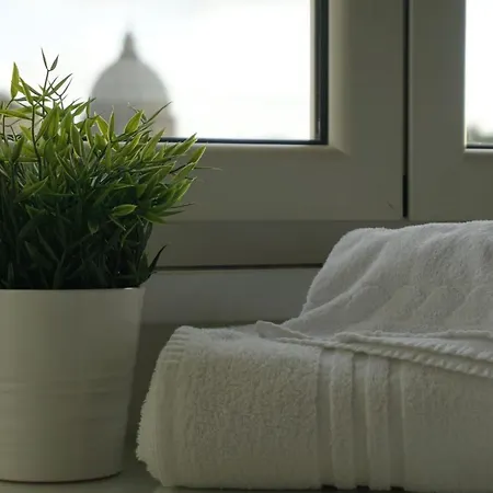 Panoramic View Of St. Peter